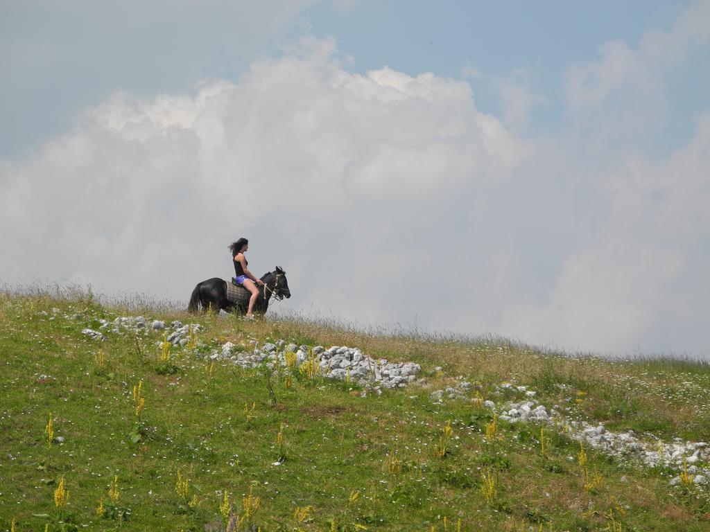 Boskovica Brvnare Pension Žabljak Buitenkant foto