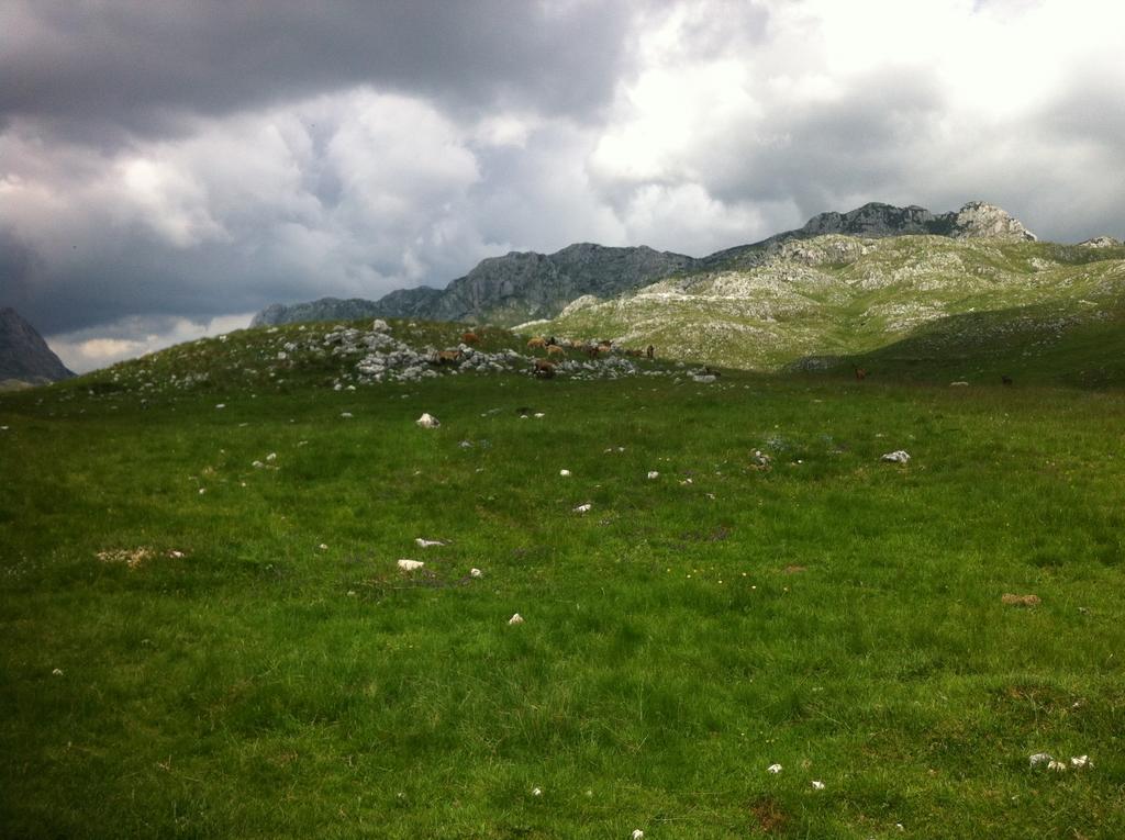 Boskovica Brvnare Pension Žabljak Buitenkant foto