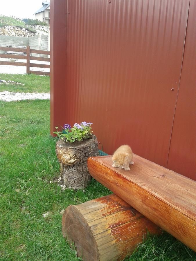 Boskovica Brvnare Pension Žabljak Buitenkant foto
