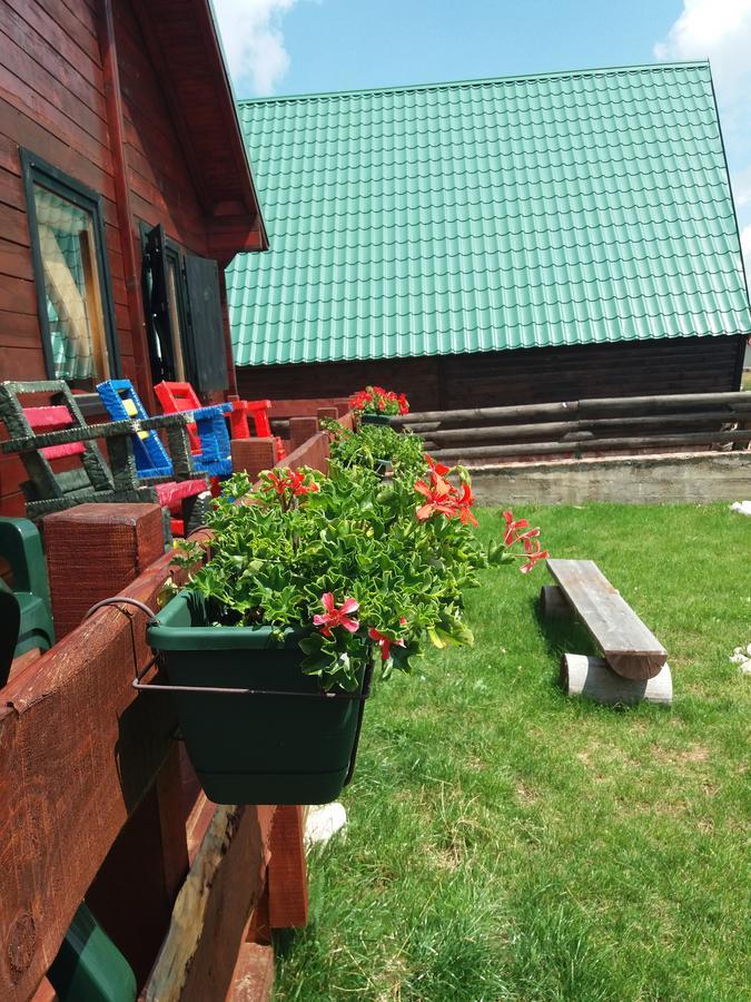 Boskovica Brvnare Pension Žabljak Buitenkant foto