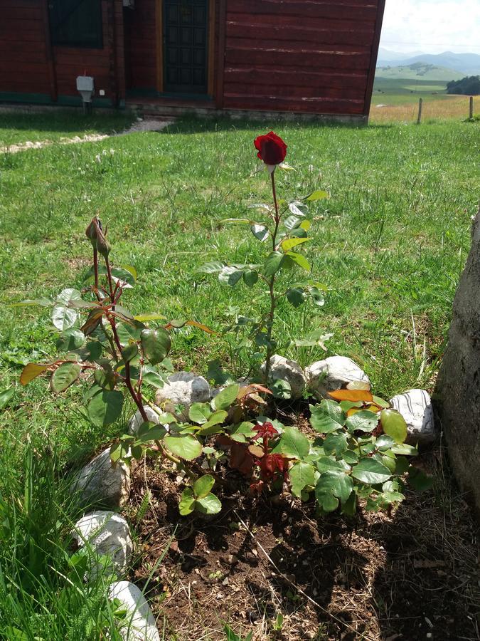 Boskovica Brvnare Pension Žabljak Buitenkant foto