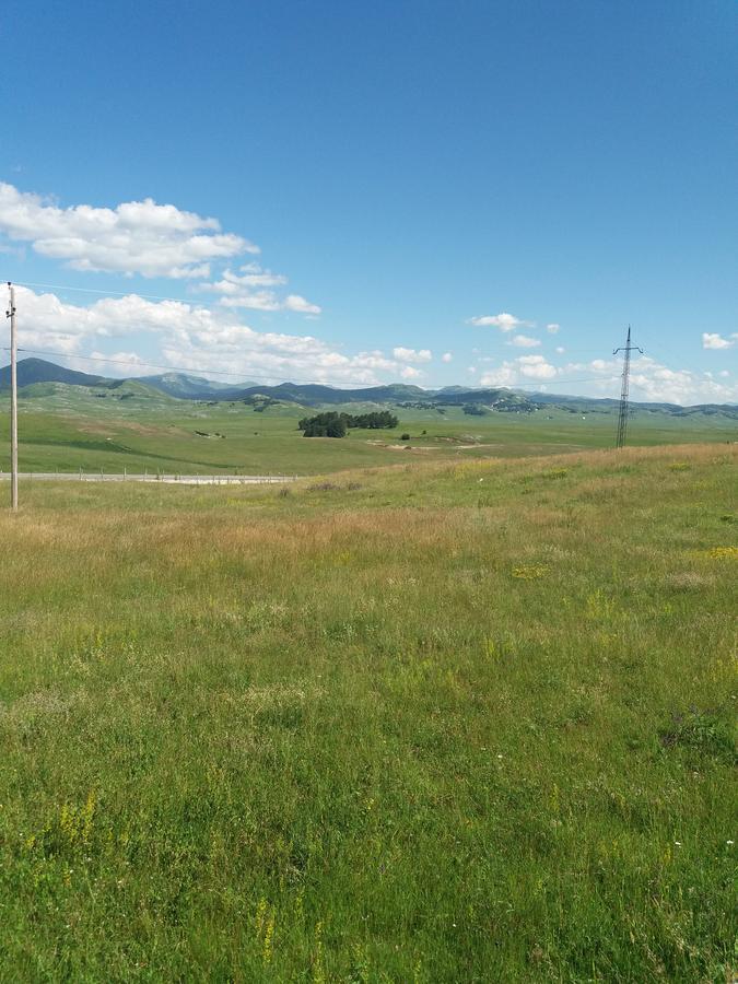 Boskovica Brvnare Pension Žabljak Buitenkant foto